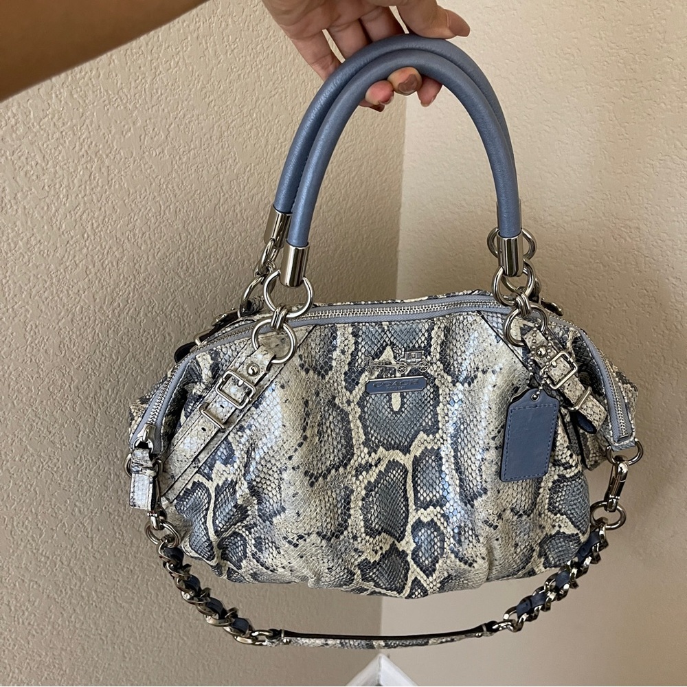 Coach Blue and Gray Snakeskin Bag